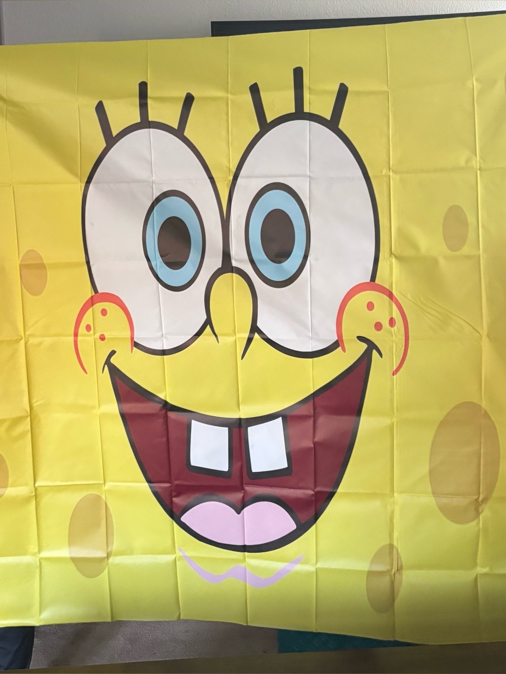 Spongebob Backdrop - Picture 8 of 8